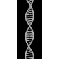 Ganzglastür "DNA" Gelasert Auf Klarglas